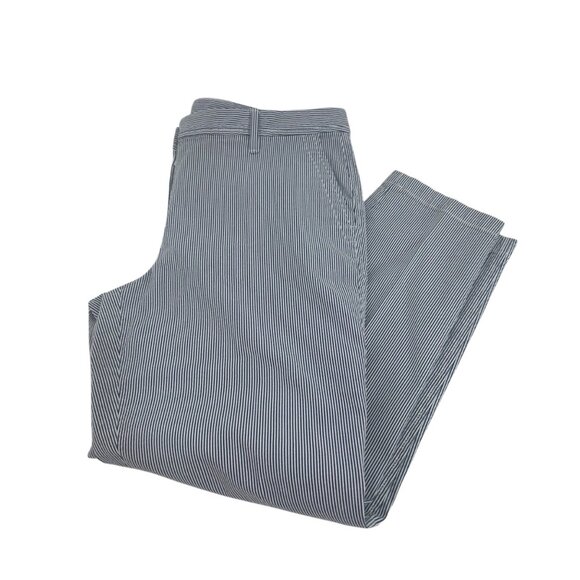 Talbots Petite Women Blue Striped Girlfriend Chino Pant SZ 10P Business Casual - Picture 8 of 10